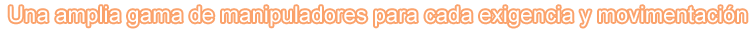 Gamma Manipolatori